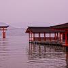 朝の雨・・満潮の宮島厳島神社 HDR