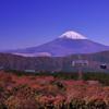 秋の箱根大涌谷から見た富士山・・