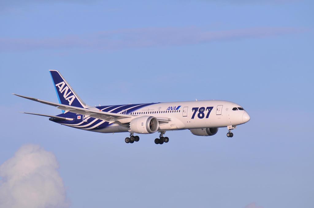 ANA B787初期塗装機がランディングへ・・京浜島