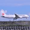 JAL B787 羽田空港B滑走路ランディング・・・