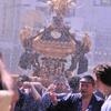 ずぶぬれになりながら担ぐ。。深川八幡祭り
