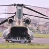 静浜基地航空祭2012 カエルのような顔のCH-47