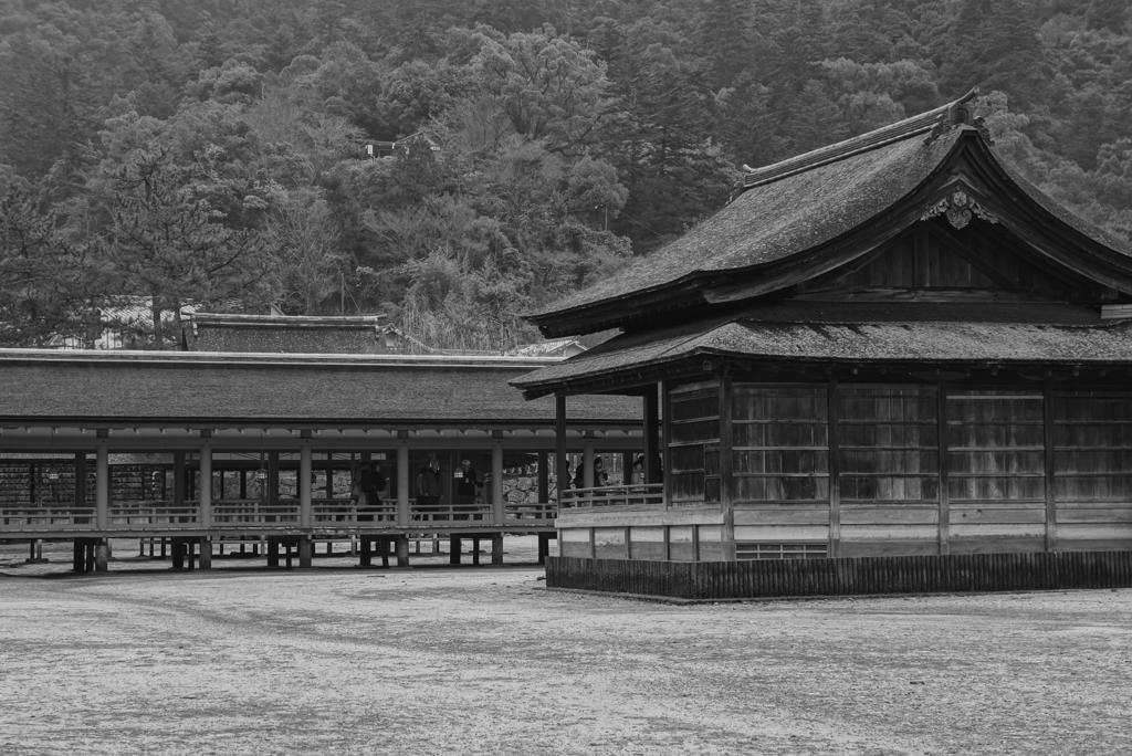 静寂な雨上がりの干潮の宮島厳島神社②