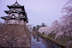 春の名所。。弘前城とサクラ