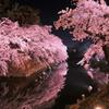弘前城公園お堀の夜桜・・
