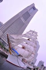 帆を揚げた日本丸と横浜ランドマークタワー・・20120602