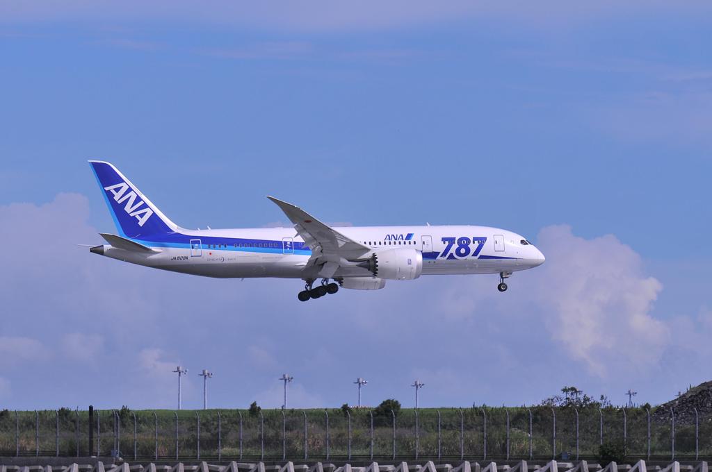 夏の日の京浜島 ANA B787ドリームライナー ランディング・・