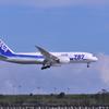 夏の日の京浜島 ANA B787ドリームライナー ランディング・・