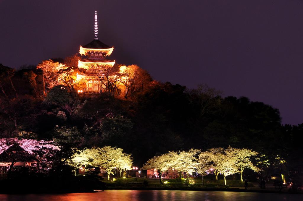 黄金に輝く三渓園の三重の塔