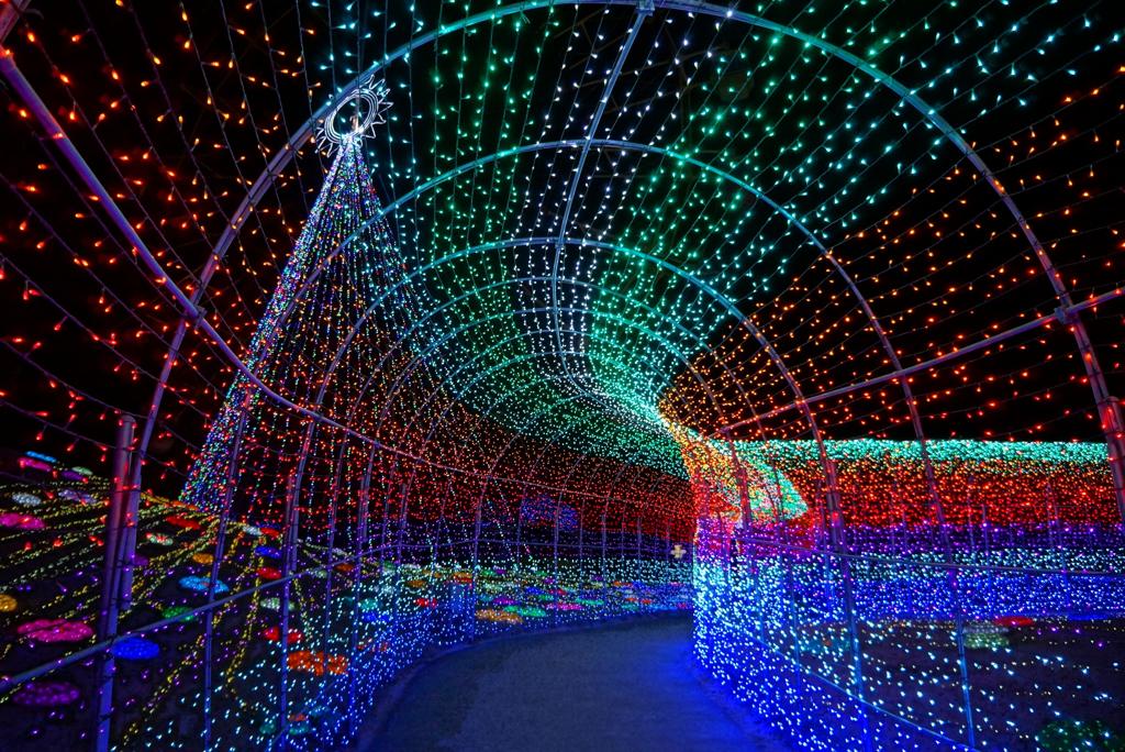 光のトンネル・・まるで未来へ