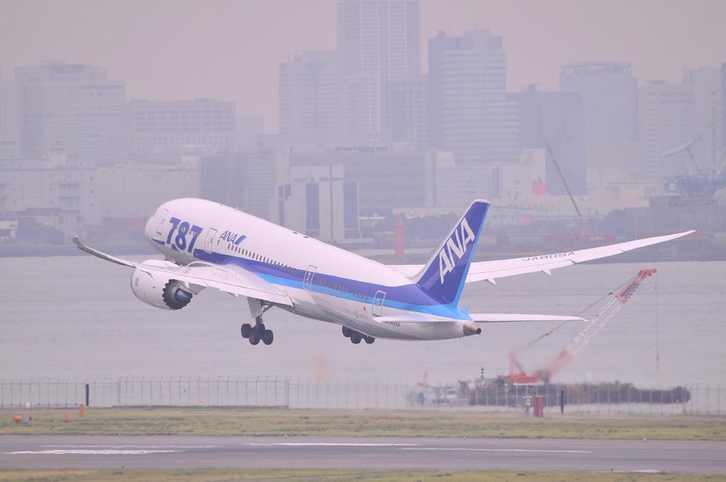 湾曲している翼を広げ。。。ANA B787