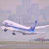 湾曲している翼を広げ。。。ANA B787