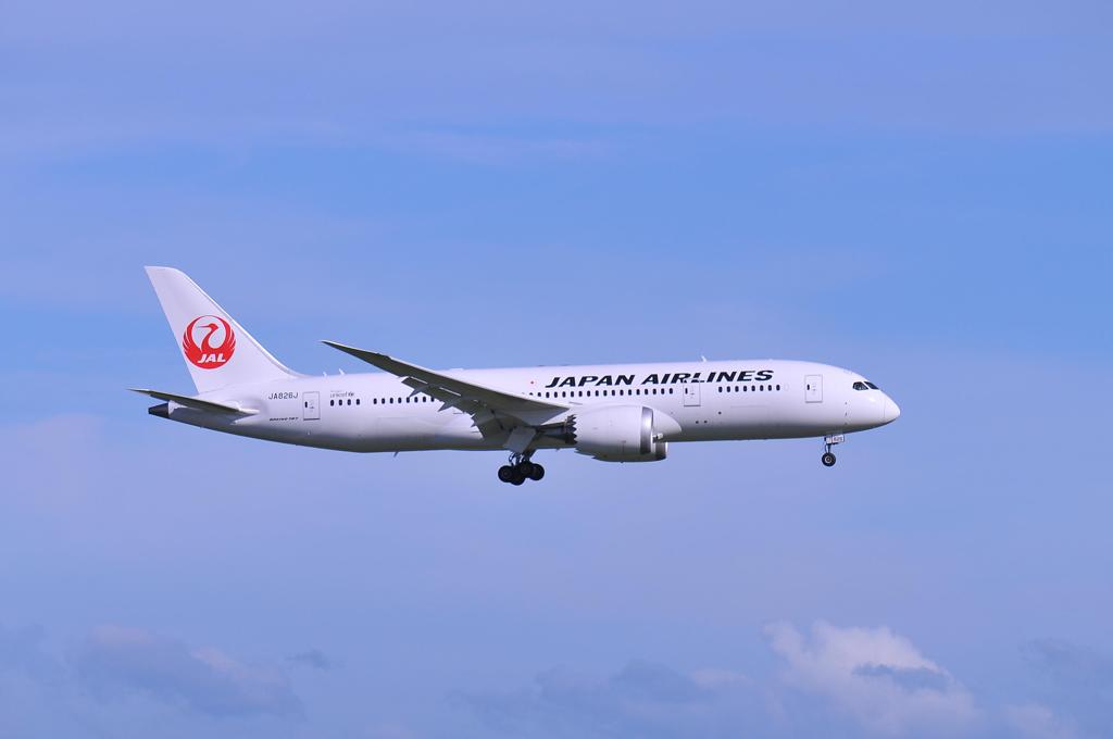 JAL 新鋭機B787 羽田空港B滑走路ランディング態勢・・