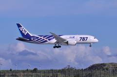 ANA B787 初期塗装機 羽田空港B滑走路ランディング・・