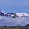 ANA B787 初期塗装機 羽田空港B滑走路ランディング・・