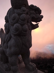 fuji