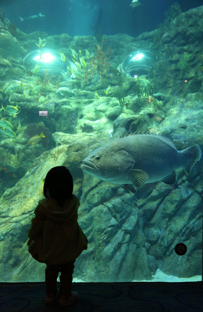 Ocean Park in Hong Kong