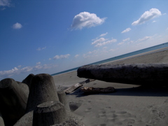 真冬の海・・・