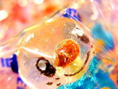 ミジュマル＾＾