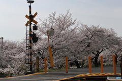 踏切の中で