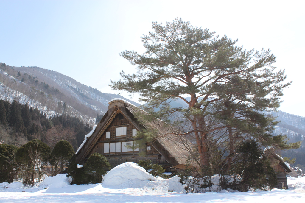 白川郷　　2