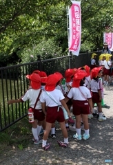 園児も見学に　1