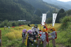 大勢で