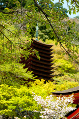 奈良県だんざんじんじゃ