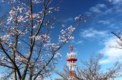 電波塔