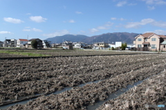 田植え準備かな？
