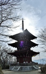 岡寺にて