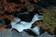 渓流  4