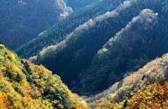 上北村の紅葉