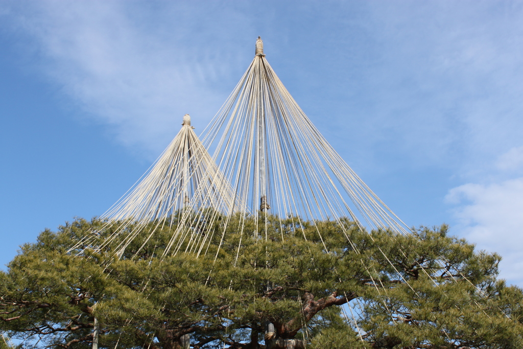 兼六園２