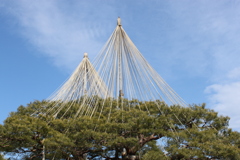 兼六園２