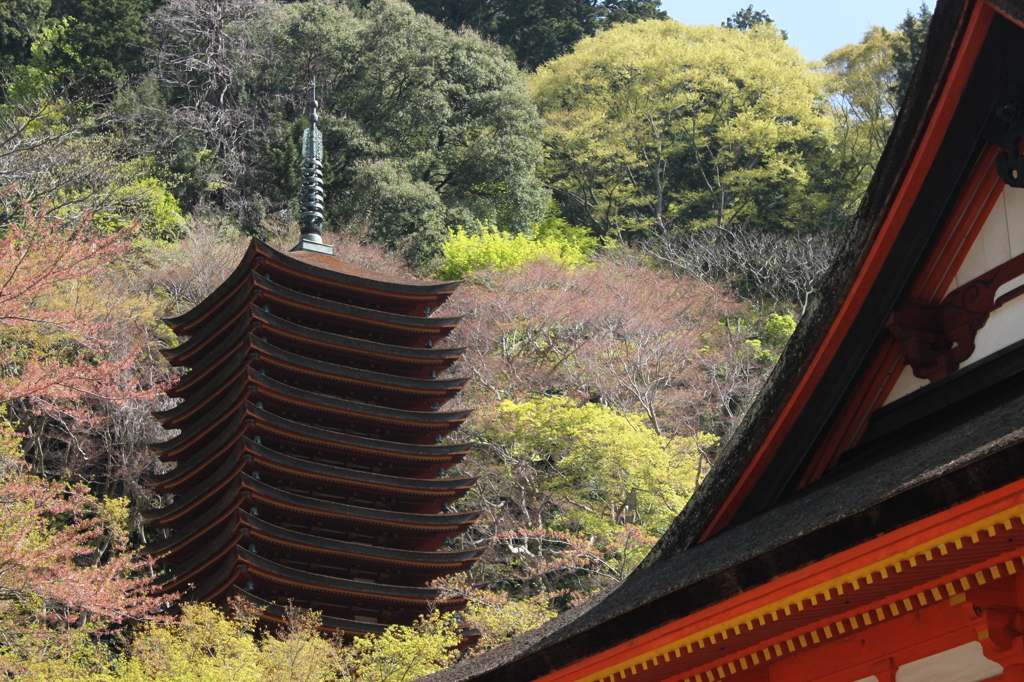 談山神社　1