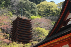 談山神社　1