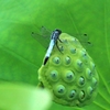 一休み？