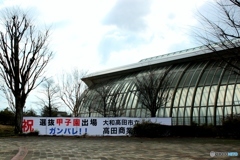 選抜出場