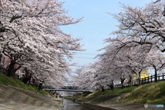 両岸に