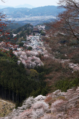 吉野山蔵王堂