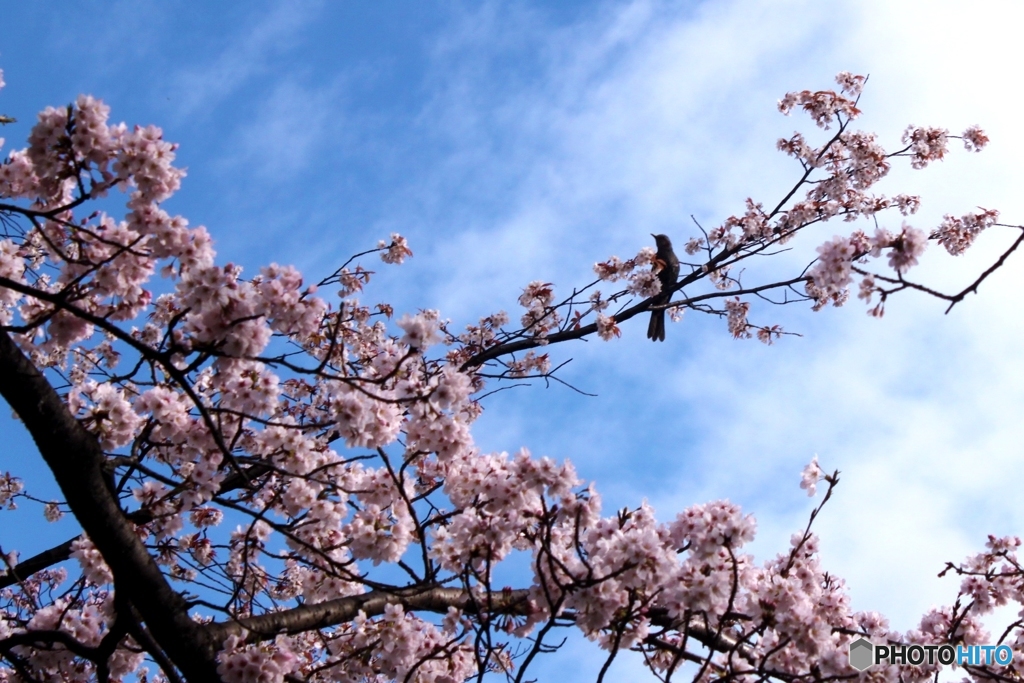 何かを待ってます