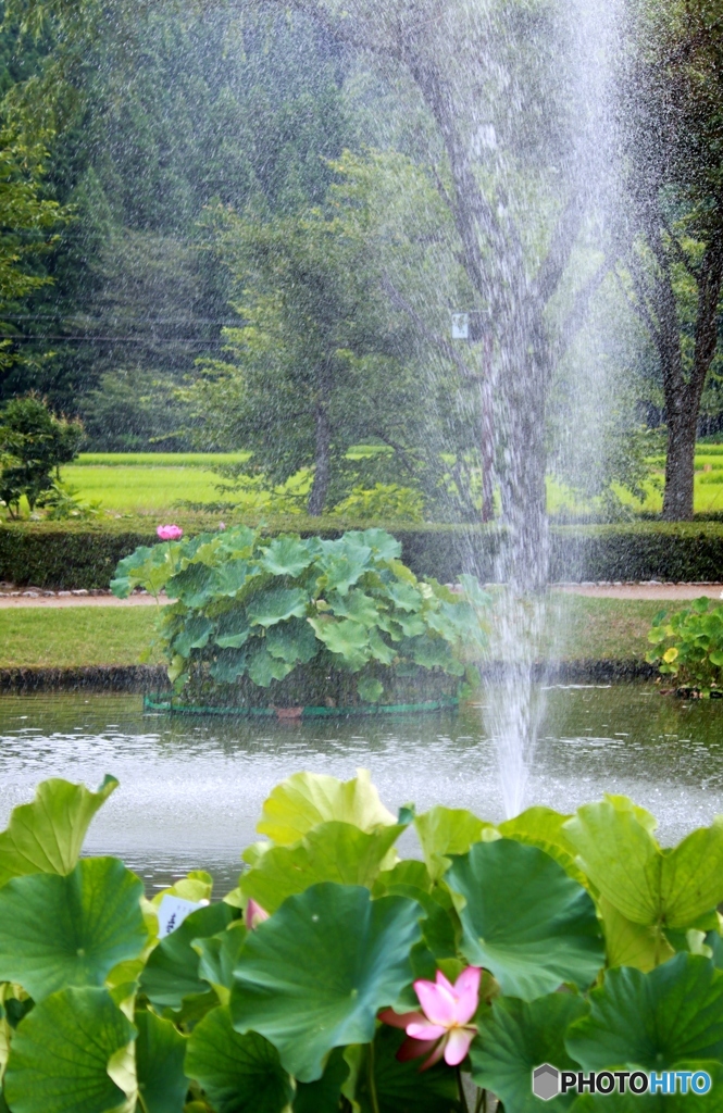 水しぶき