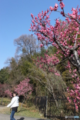 お散歩
