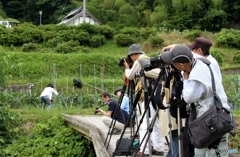 同じ方向