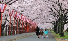 入学1年生