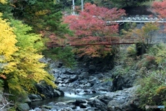 渓流