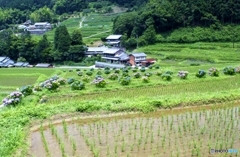 明日香村