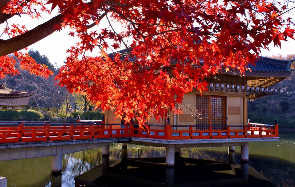 安部文殊院の紅葉