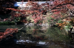 円通寺の紅葉
